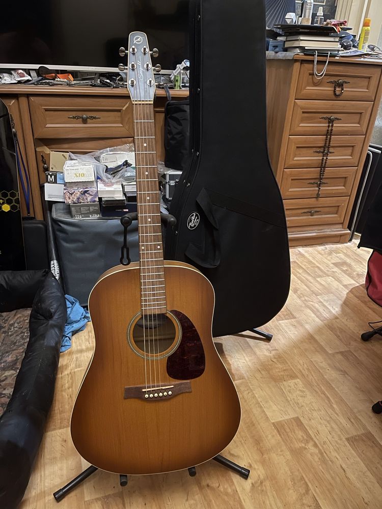 Гітара Godin Seagull Entourage Rustic