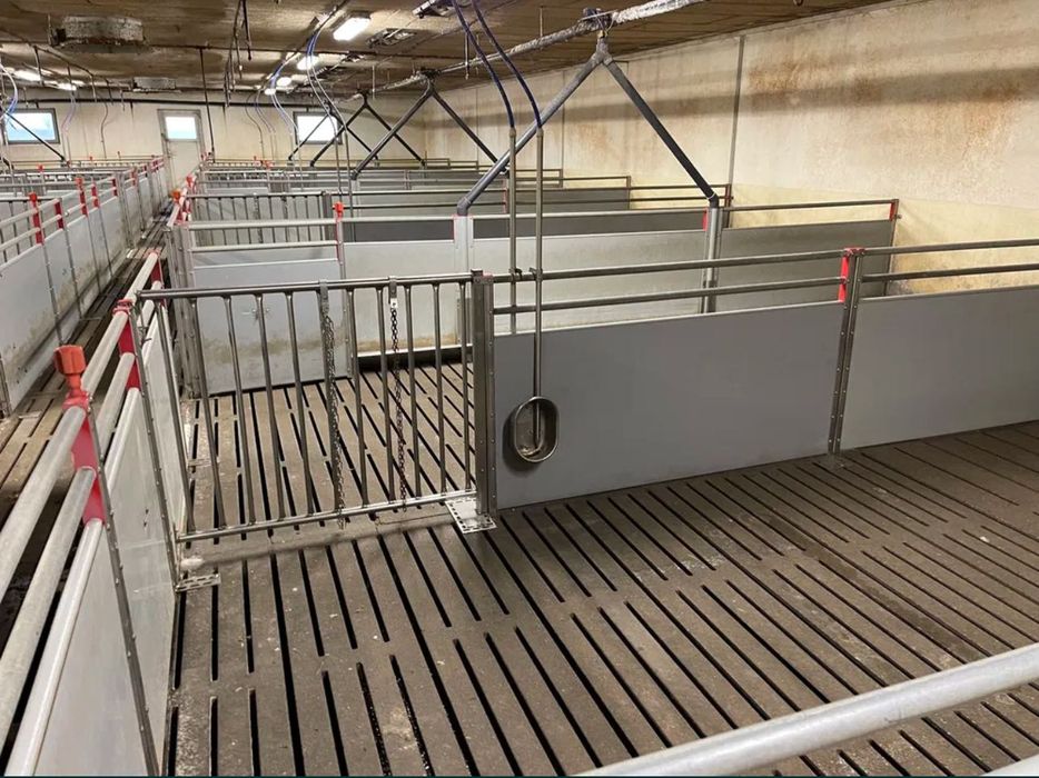 Огорожа свиноферми нержавійка , оцинковка з Данії