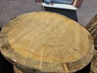 Plater drewniany 80cm średnica sosna 350 lat pomnik przyrody