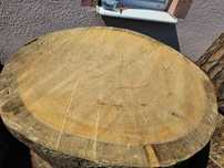 Plater drewniany 80cm średnica sosna 350 lat pomnik przyrody