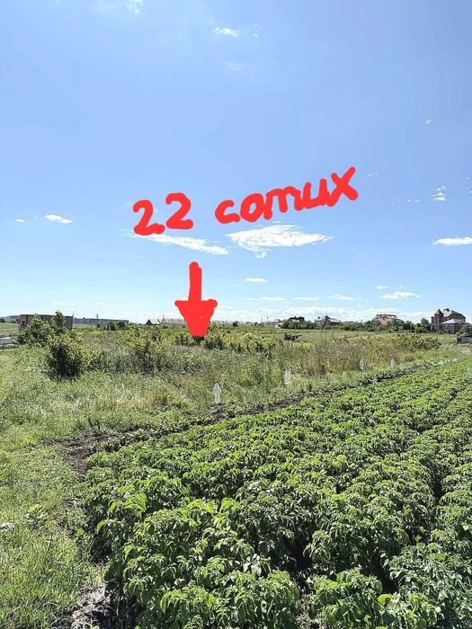 Продаж ділянки у Сокільниках 22 сотих
