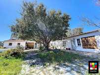 Quinta 9250 m2
