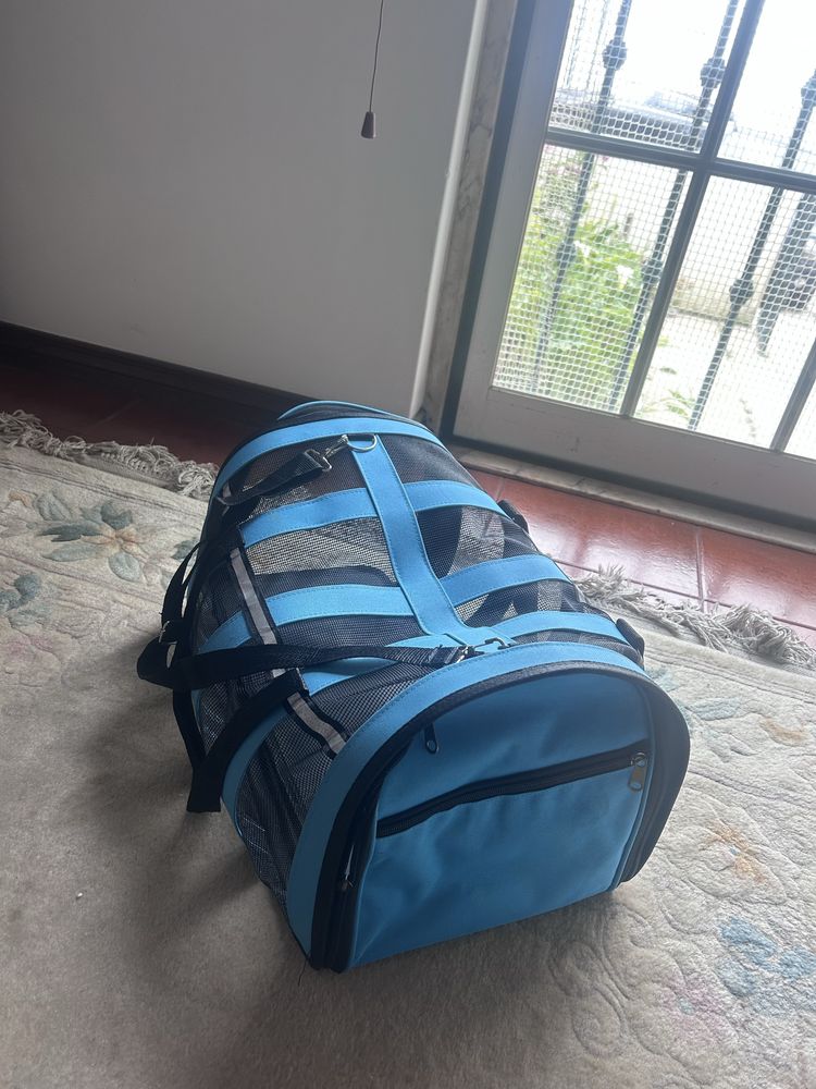 Kit COMPLETO para gato