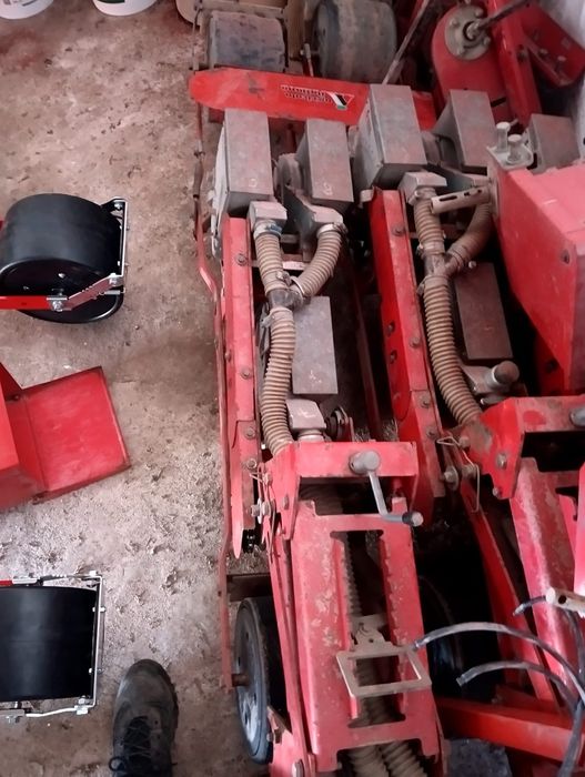 Corpos de sementeira de hortícolas