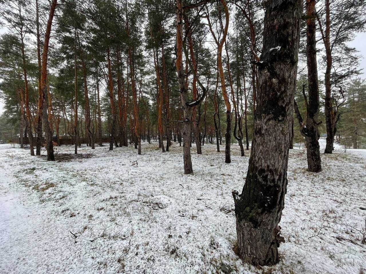 Продам участок в Кировском (Обуховка), "Сосновый берег", Лес и река