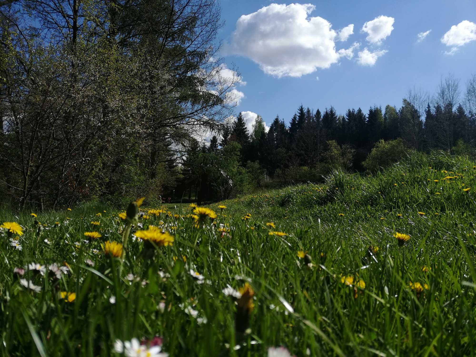 Domek na Kaszubach z balią/jacuzzi nad jeziorem bez sąsiadów.