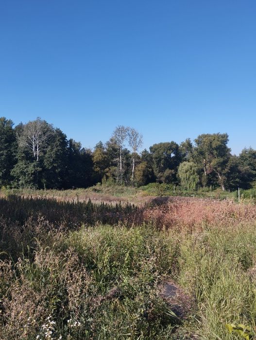 Продам дом Новая Водолага