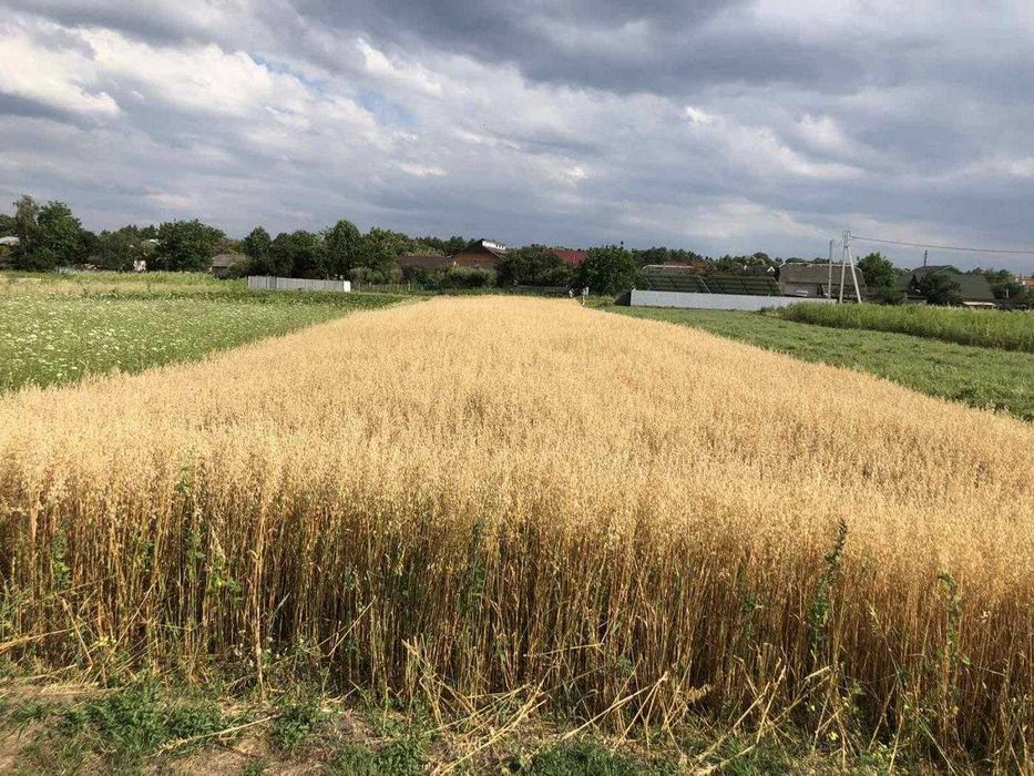 Продаж / Земля/Чукалівка / Франківськ