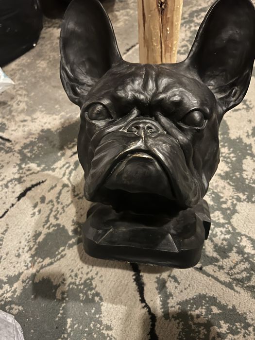 Głowa Buldoga Francuskiego (Nowa)