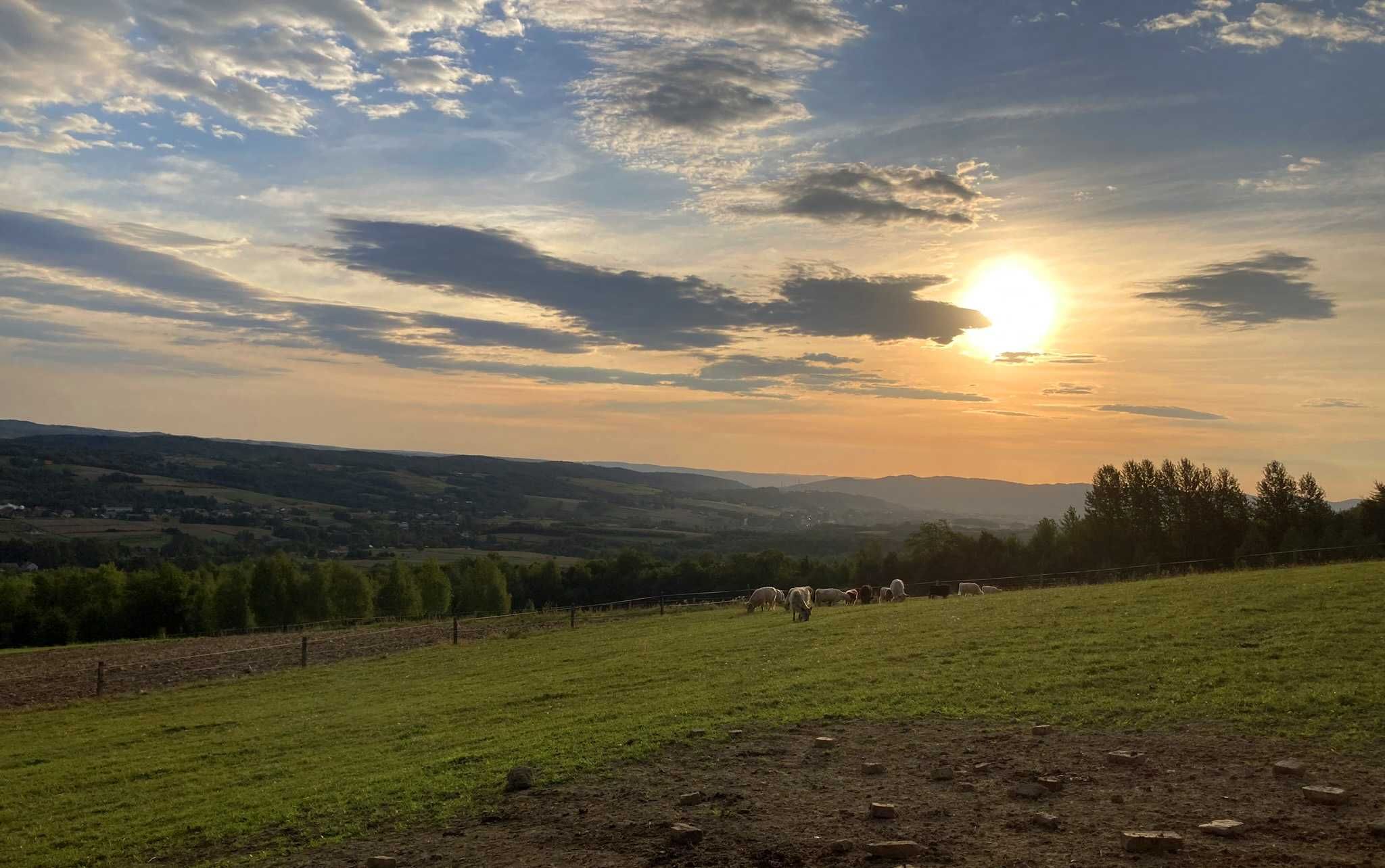 domek ,chata ,ruska bania, jacuzzi, na uboczu, wieś, bieszczady,