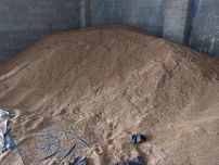 Sprzedam Owies z 2024r 10 ton