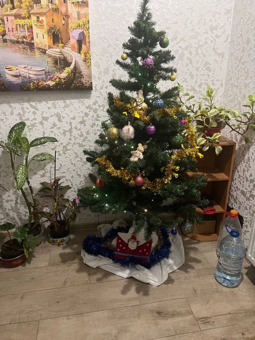 Посуточно Дом для Мероприятий Генератор Торжеств 13 фонтана