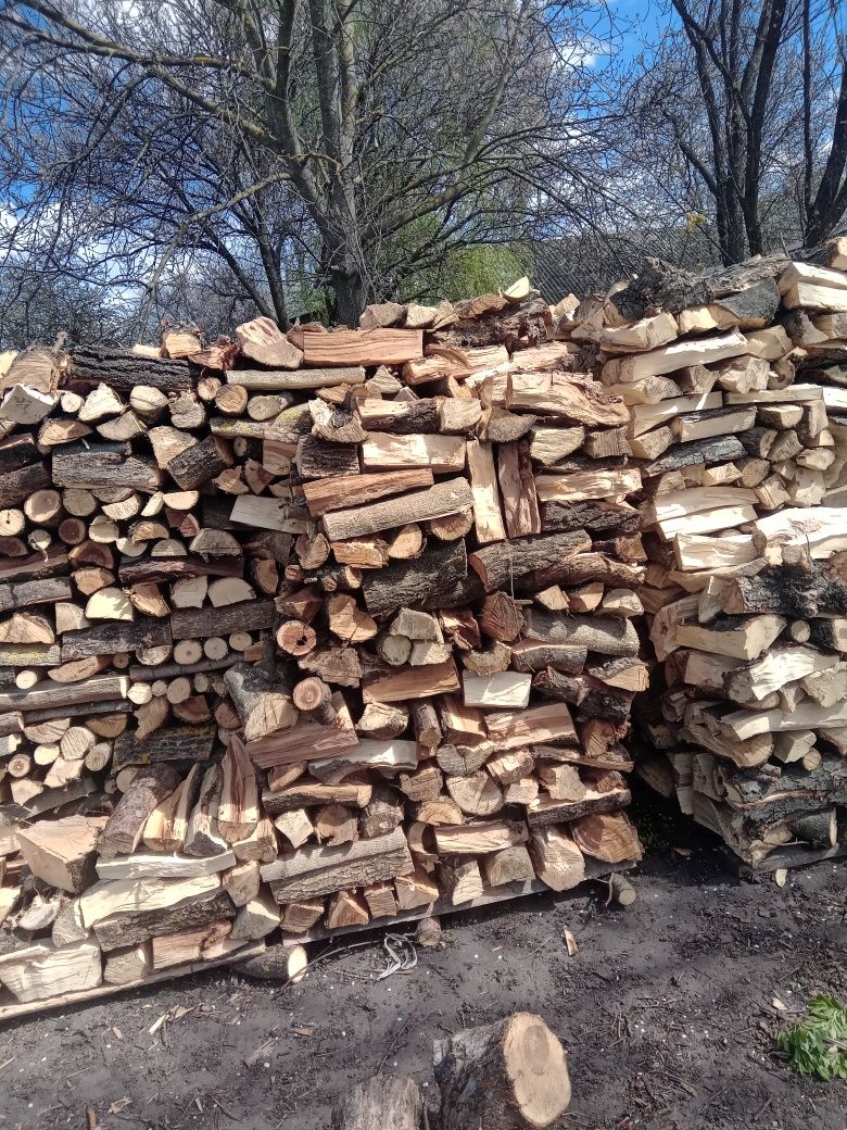 Продам дрова різних порід.