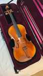 Viola d’arco Schüler