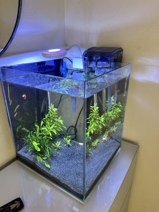 Cubo 30x30x35cm completo