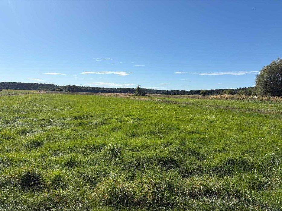 Działki budowlane od 1050 do 1175m² - Miłogostowice / 10min od Legnicy