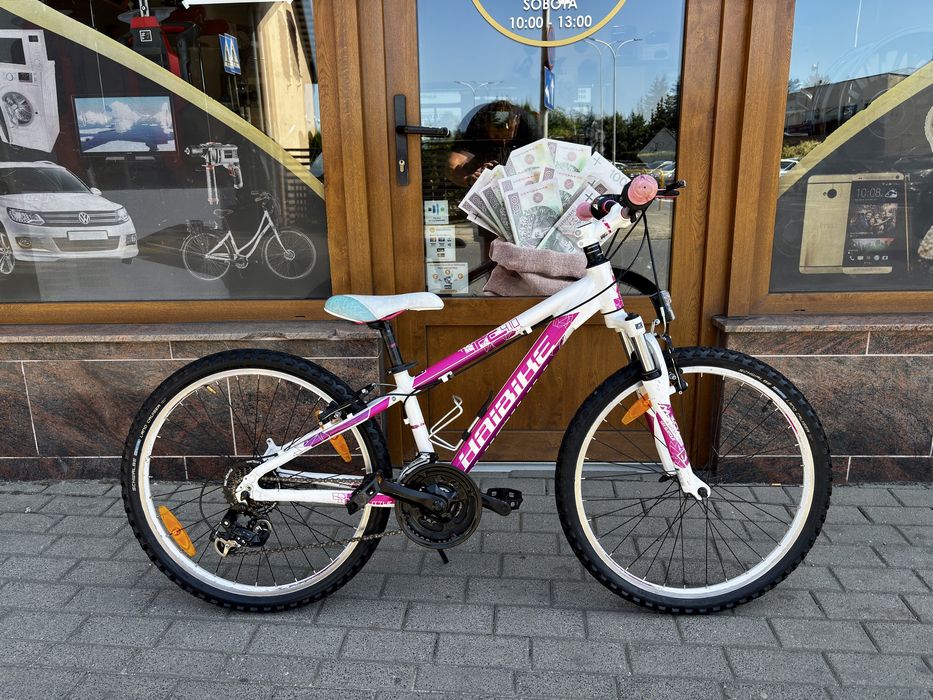 Rower MTB HAIBIKE Life 4.10  koła 24”