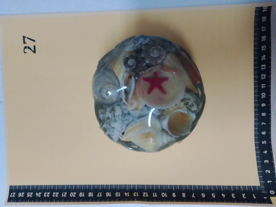 Muszle komplet (muszelki)