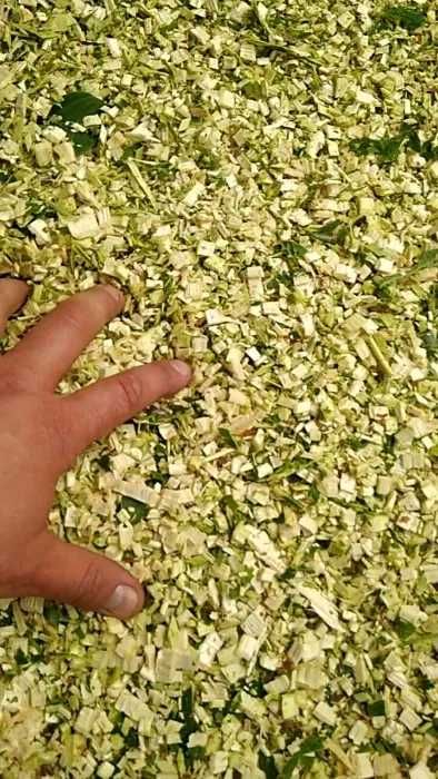 Подрібнювач гілок та бур'янів щепоріз 220 В. Металевий. 2,2 кВт.