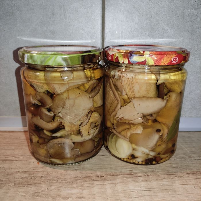 Marynowane boczniaki ostrygowate 540 ml