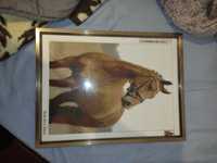 Diamond painting cavalo