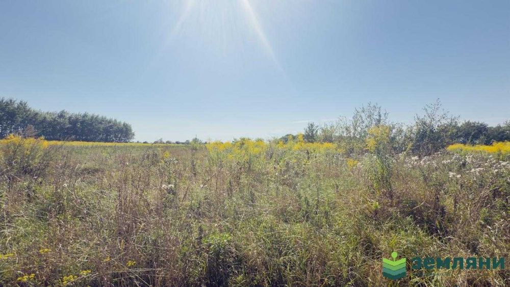 Продається ділянка 20 сот під будівництво в Хриплині (7)