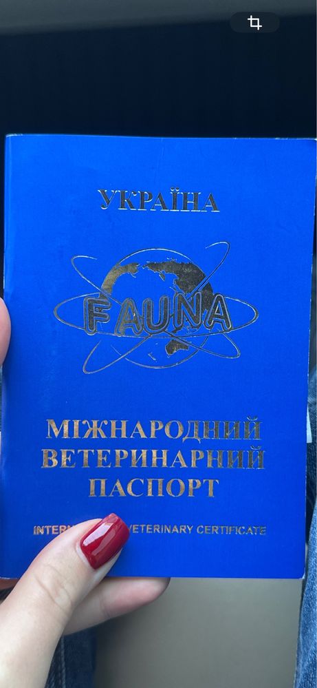 MaльтипуF2 Девочка 3 месяца