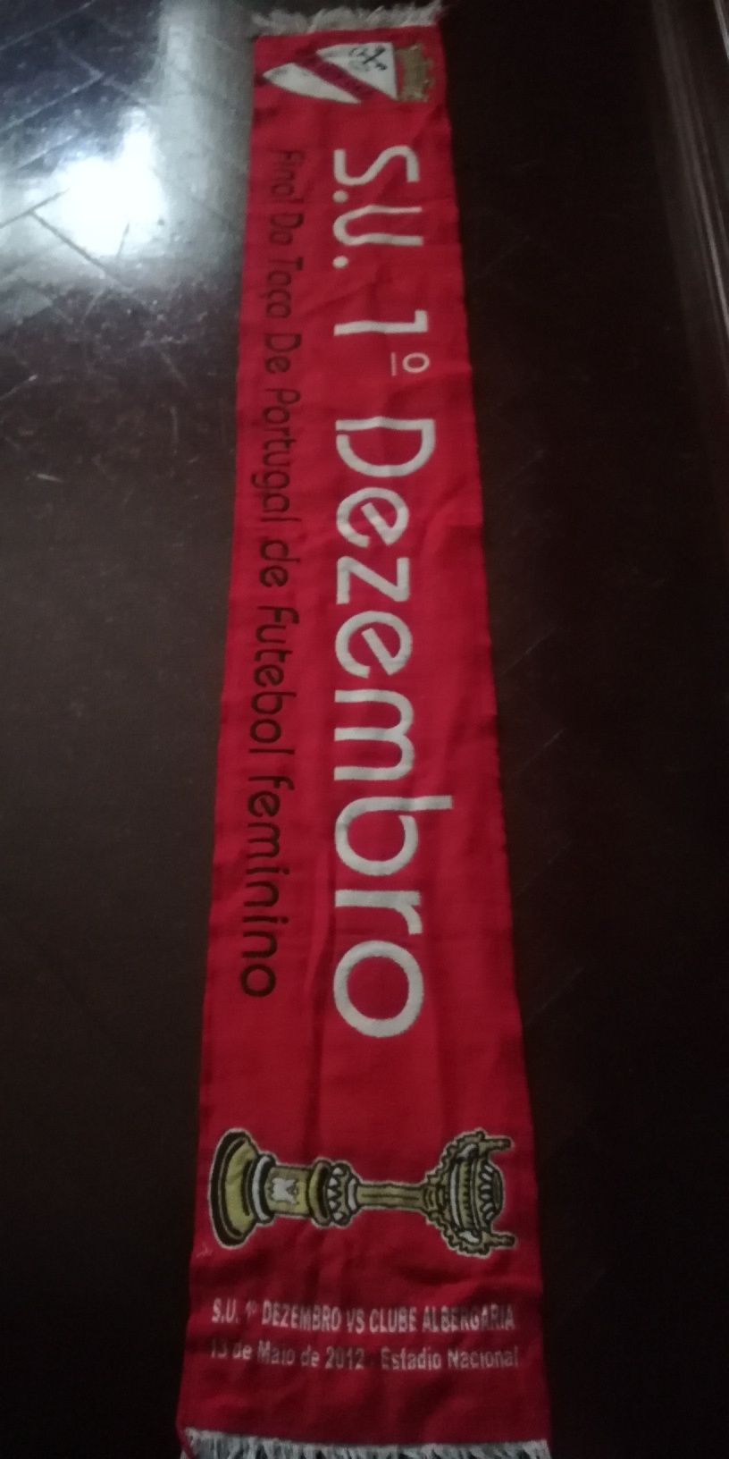 Cachecol 1 de Dezembro