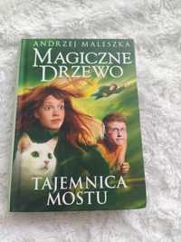 Tajemnica mostu Magiczne drzewo książka