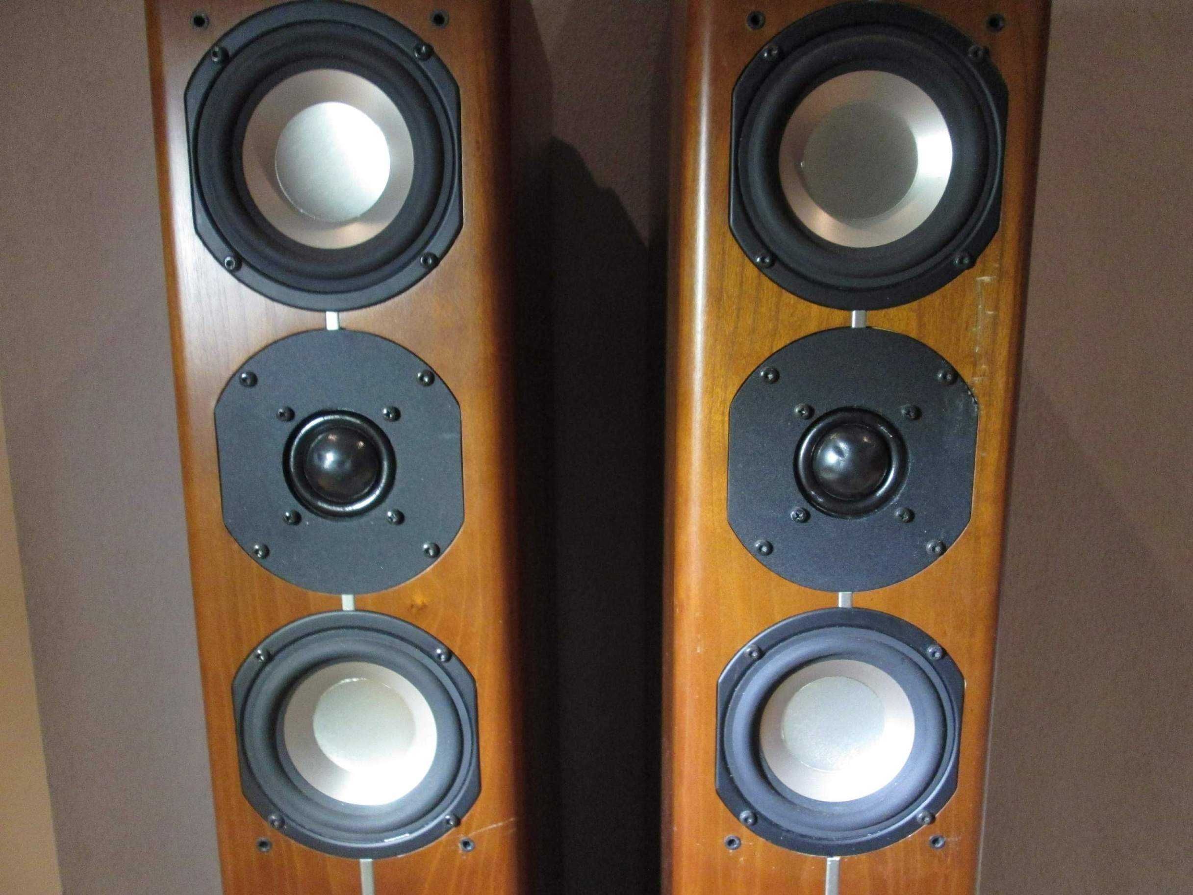 ASW Cantius 404 Germany 100/150W - Kolumny do bardzo lekkiego zadbania