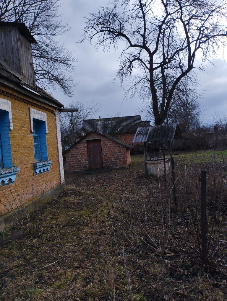 Продаж будинку Вінницький р-н село Коханівка