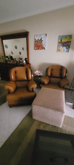 Vendo Sofás em Pele