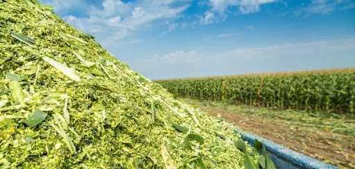 Zakiszacz Farma Sil 500g- 50 ton kiszonki- ogranicza straty w kiszonce
