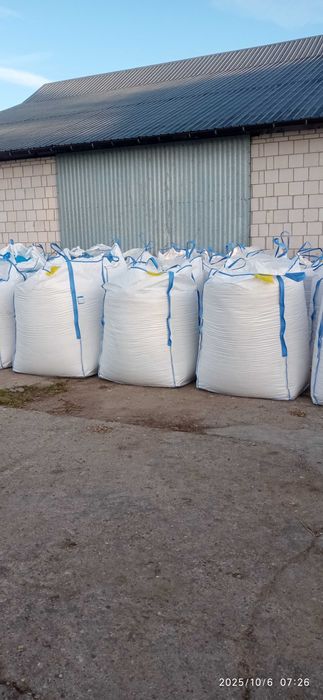 Kukurydza mielona, CCM, kiszone ziarno kukurydzy big bag