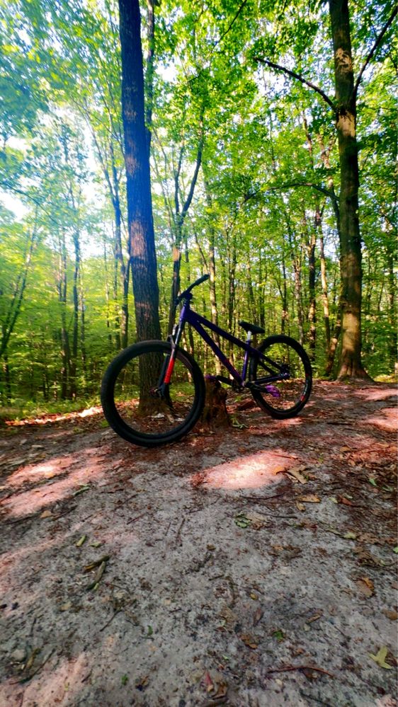 dirt octane one zircus 2014