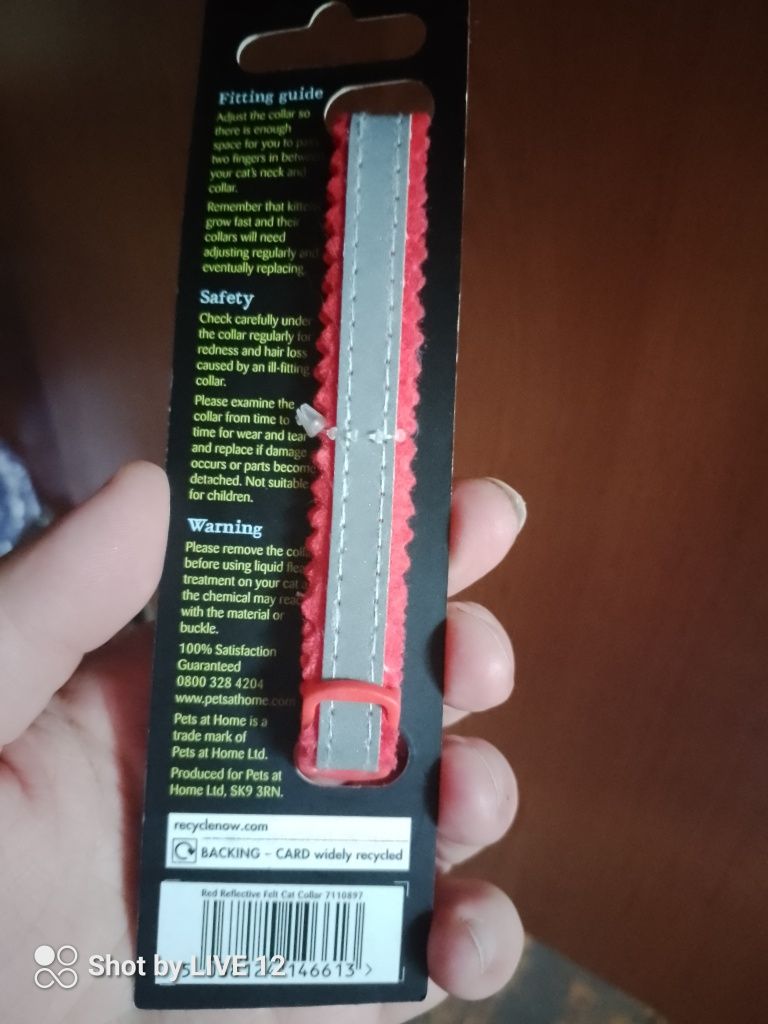 Odblaskowa obroża dla kota z dzwonkiem
