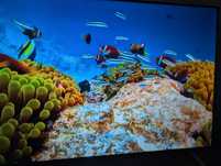 Telewizor TCL 55P638 55 cali 4K UHD Smart TV Dolby Vision Atmos