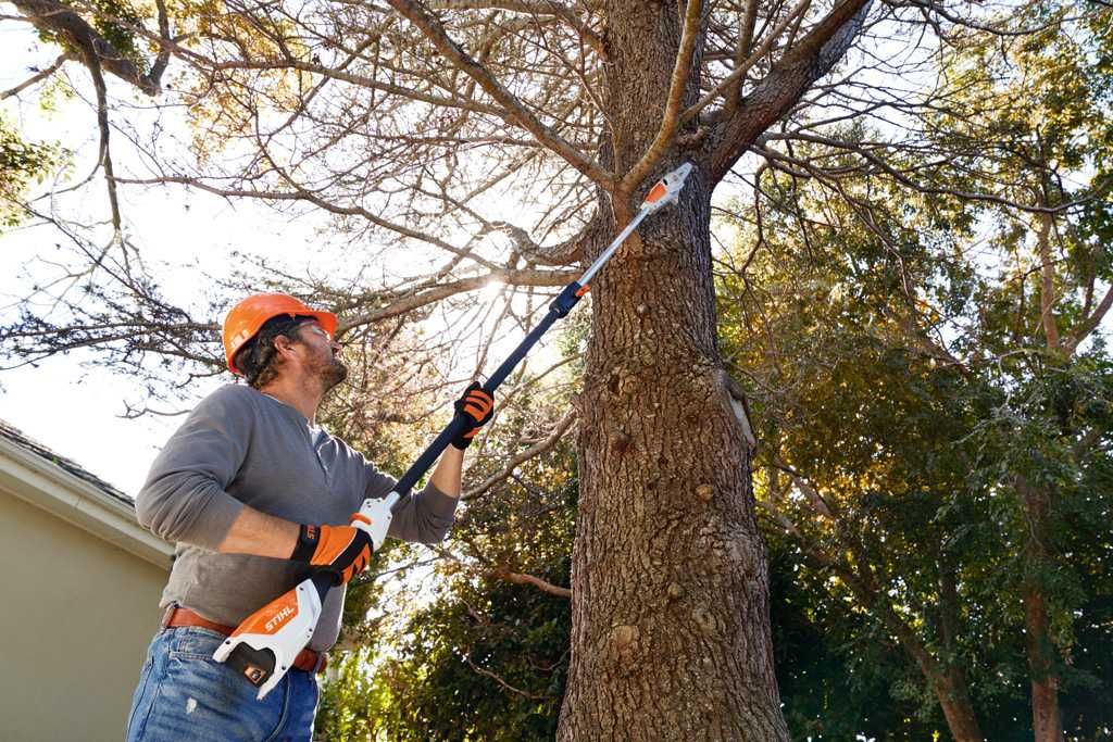 Wypożyczalnia MODRA Wynajem Podkrzesywarka STIHL