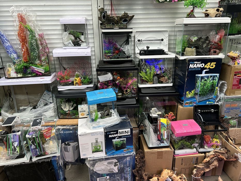 Акваріуми.           .