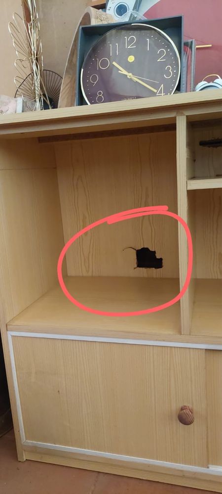Movel de apoio de Tv