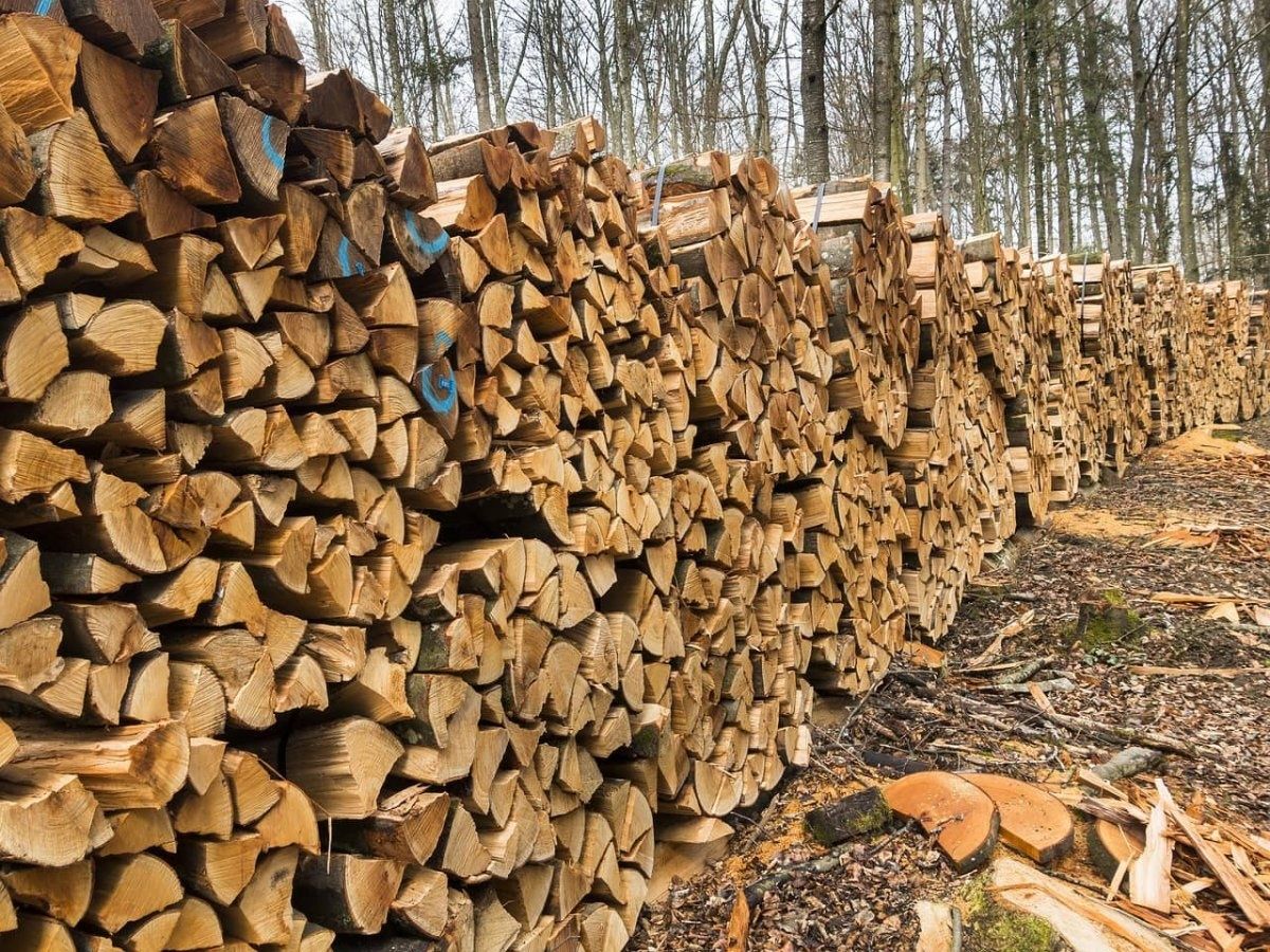 Продам дрова рубані доставка безкоштовна.