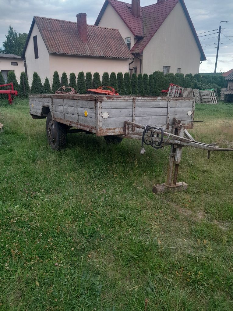 Likwidacjia 5.5.9.0 z gruby materiał polecam