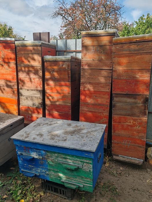 Вулики 10 рамочні