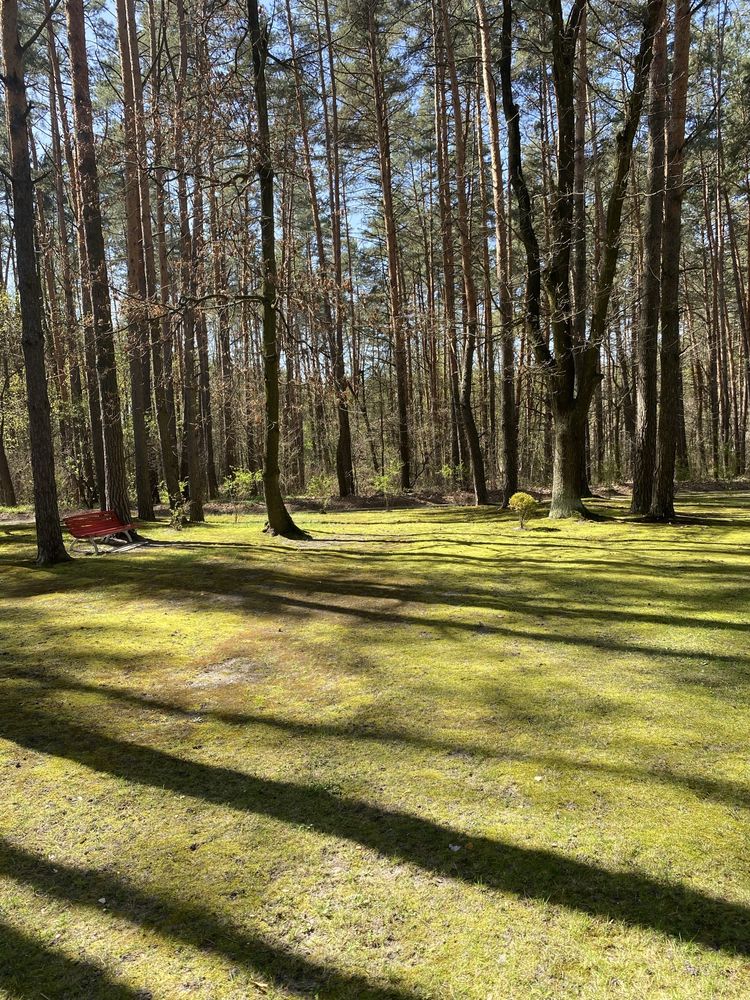 Будиночок в лісі.20хв.від Києва.Сосни і море.Пляж & барбекю.