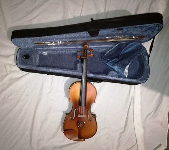 Violino de madeira profissional