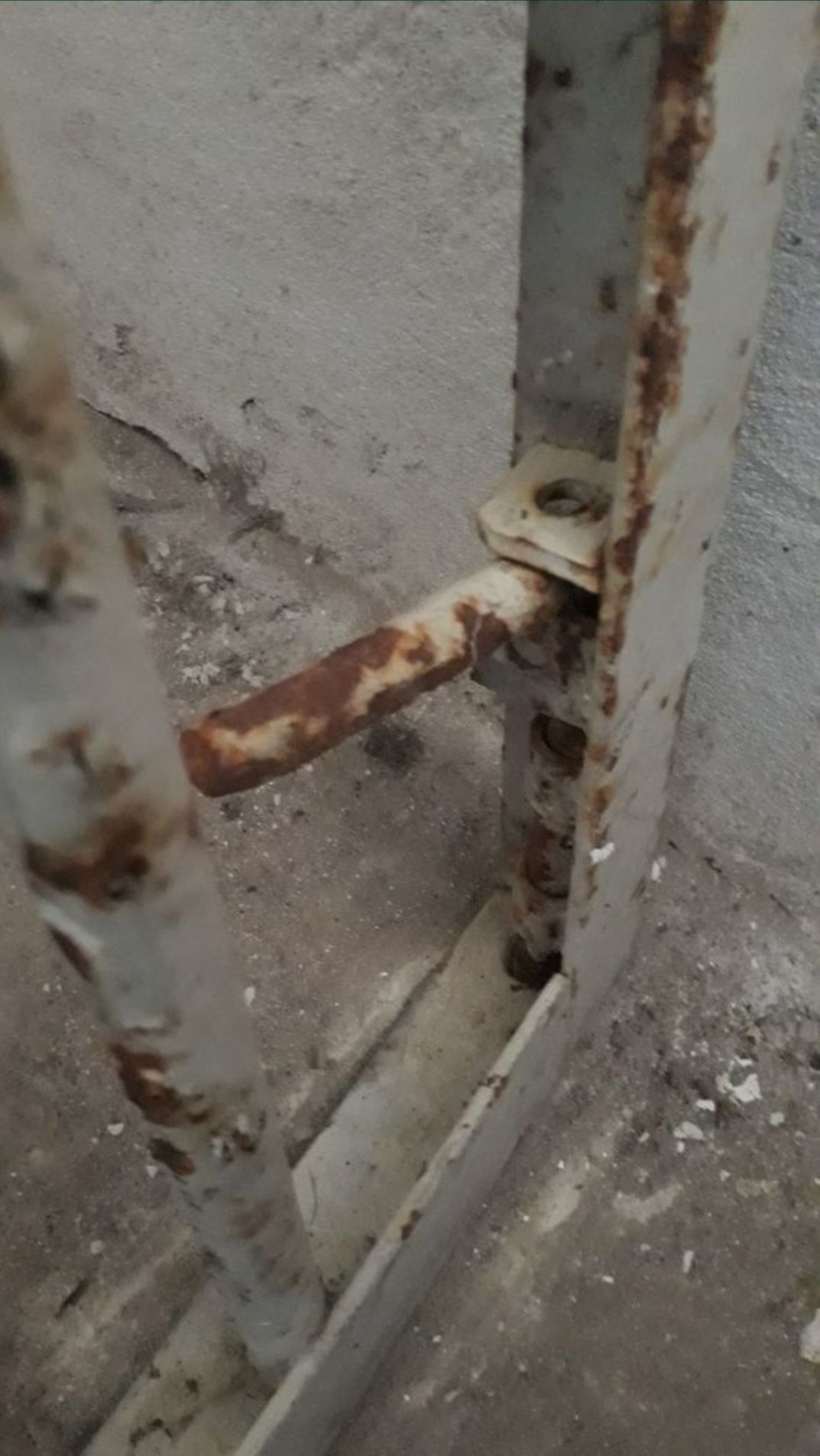 Решітка грати на двері