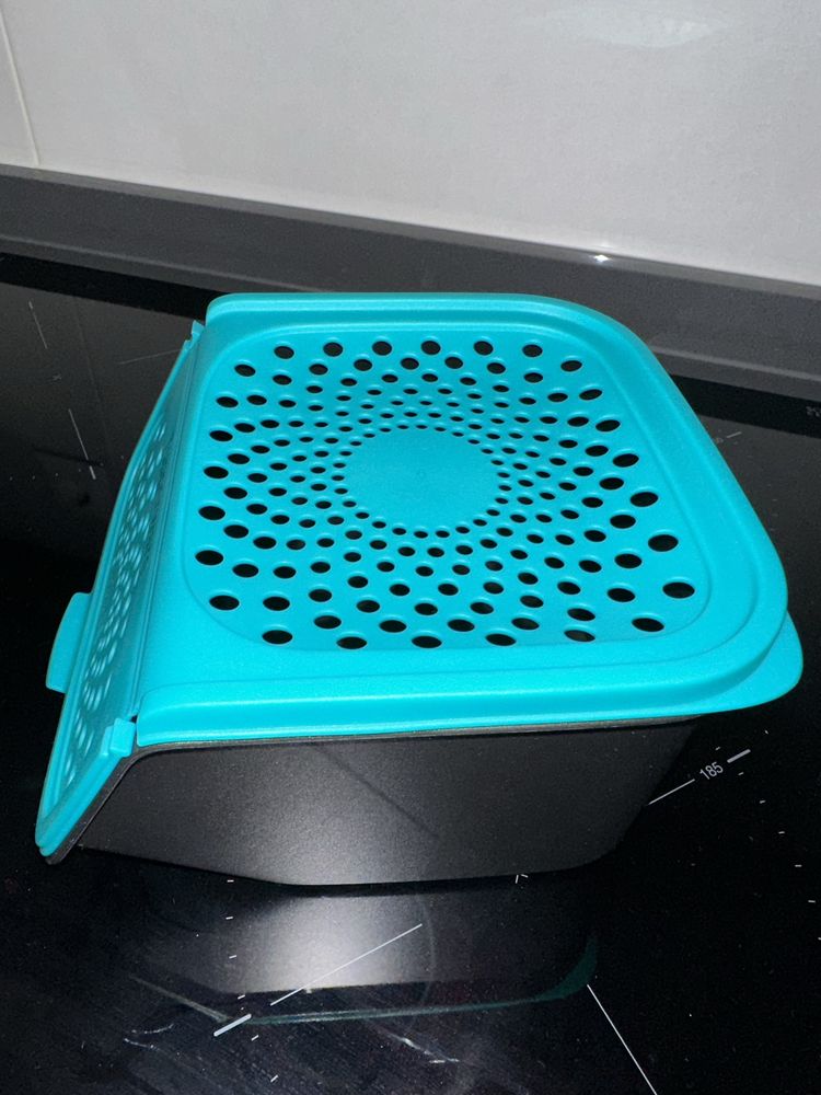 Tulha de alhos da Tupperware + Tudo em um