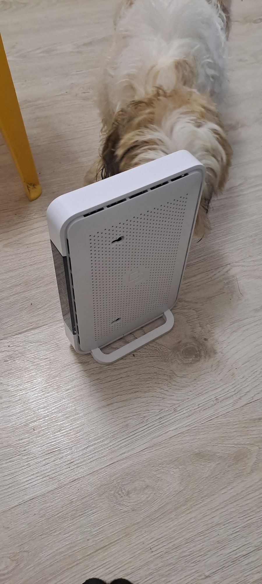 Router WiFi sprawny