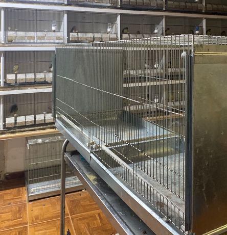 Voadeiras Zincadas para aves 120x50x50