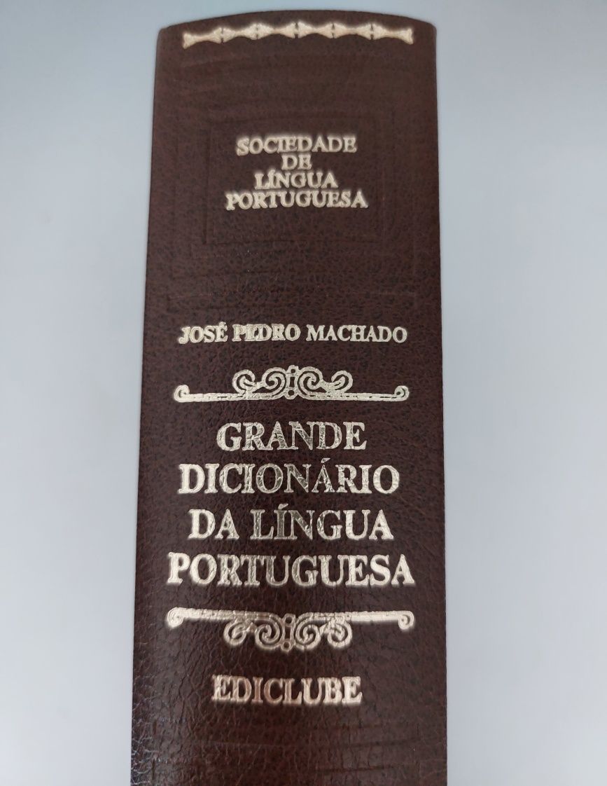 Grande dicionário da Língua Portuguesa